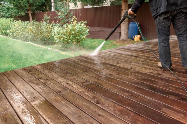 Best Gutter Cleaning  in Amboy, IL