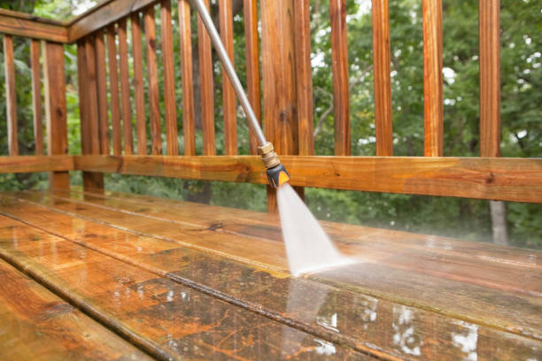 Animal Enclosure Cleaning in Amboy, IL