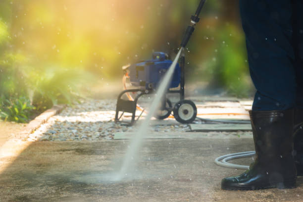 Best House Exterior Washing  in Amboy, IL